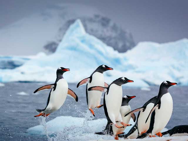 Haz el viaje de tus sueños con Bikotravel